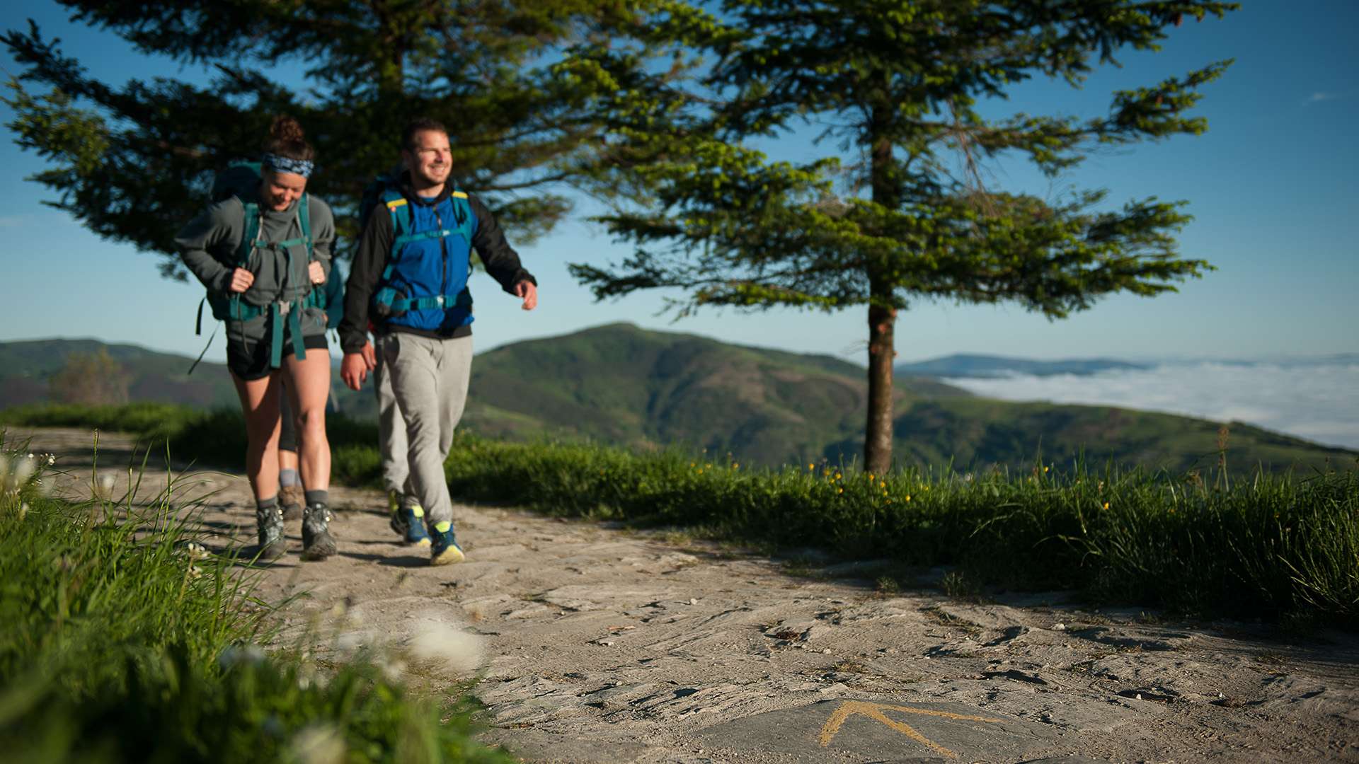 — As obras enmárcanse no proxecto de mellora da seguridade viaria do Camiño impulsado por Turismo de Galicia no que se invisten 40M€ no horizonte 2027.