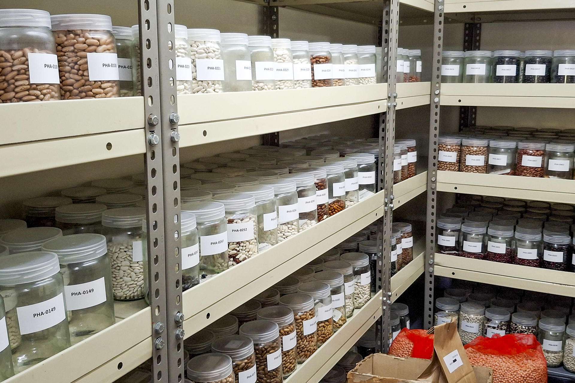 Vista de la Misión Biolóxica de Galicia, Pontevedra. Desplazadas y olvidadas por cultivos más productivos, variedades autóctonas de hortofrutícolas, legumbres y cereales están regresando al campo gallego de la mano de bancos de semillas que las preservan hace décadas y empresas que apuestan por recuperar los sabores y aromas de antes. Este centro del CSIC tiene en su sede de Pontevedra uno de los dos bancos de germoplasma gallegos, que almacena en cámaras frigoríficas a cuatro grados miles de variedades vegetales, la mayoría autóctonas.- EFE/ Paula Fernández