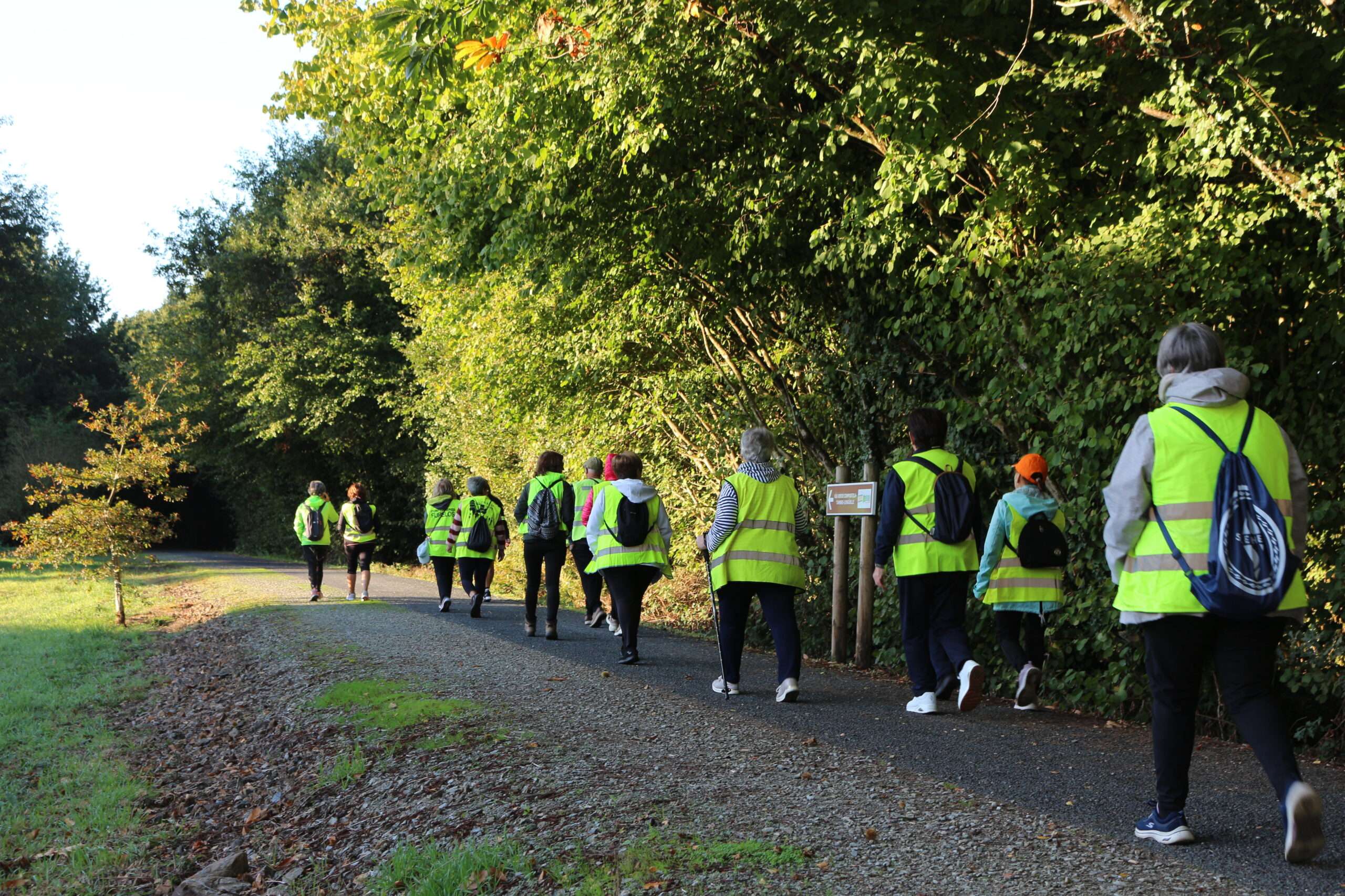 talleres de envejecimiento activo